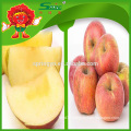 apple fruit exports high quality red chief apple from China